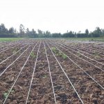 cost of 1 acre drip system