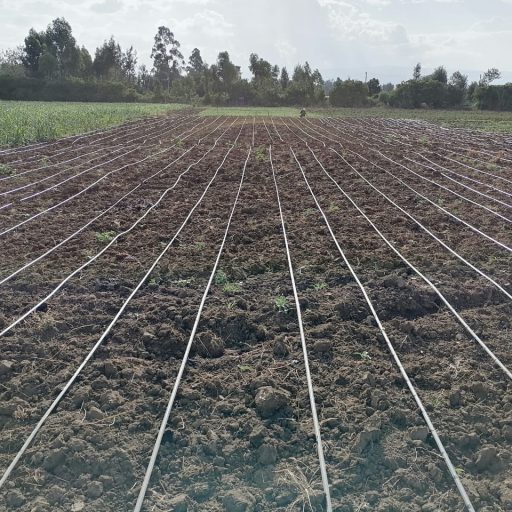 Irrigation Pipes For Sale in Kenya +254 728 163329