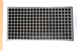 Seed Germination Trays