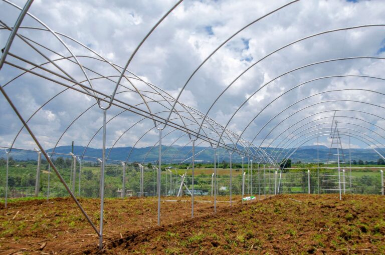 STEEL GREENHOUSES – EUNIDRIP IRRIGATION SYSTEMS