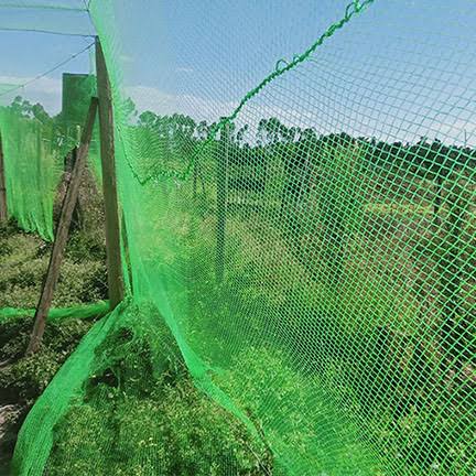 EUNIDRIP IRRIGATION SYSTEMS BIRD NETS