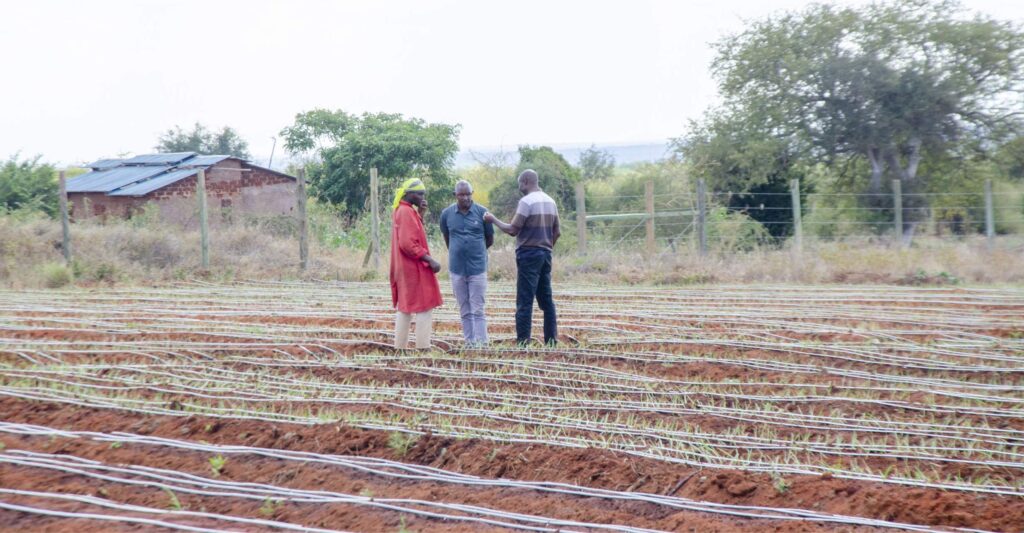 ONION DRIP IRRIGATION KIT